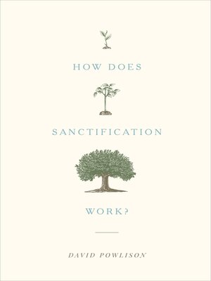 cover image of How Does Sanctification Work?